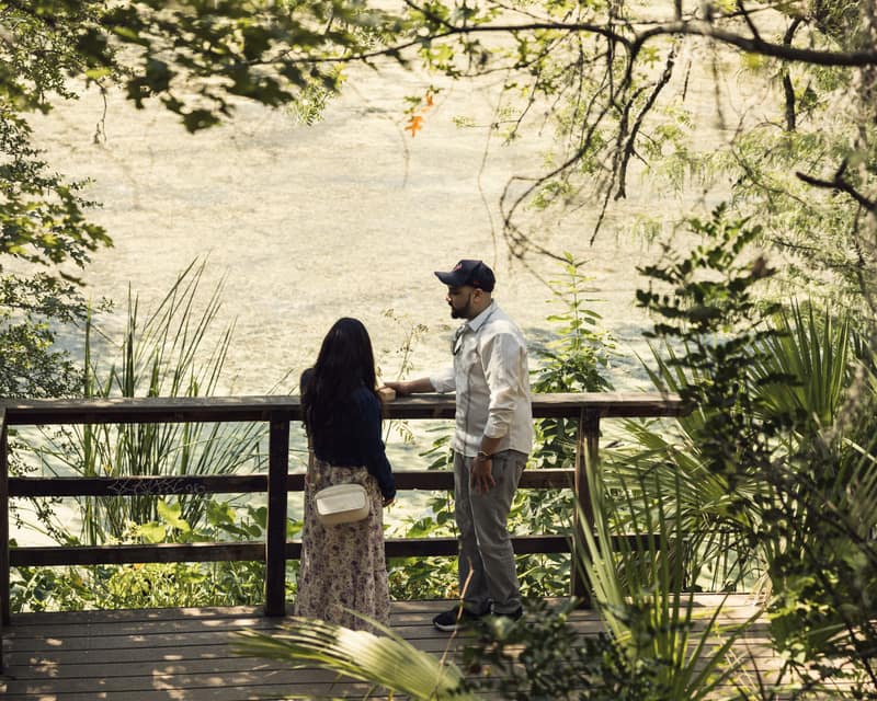 Couple at a wooden overlook rail above a green pond, seen through overhanging branches moments before a surprise proposal