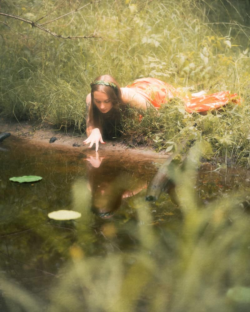 Narcissus