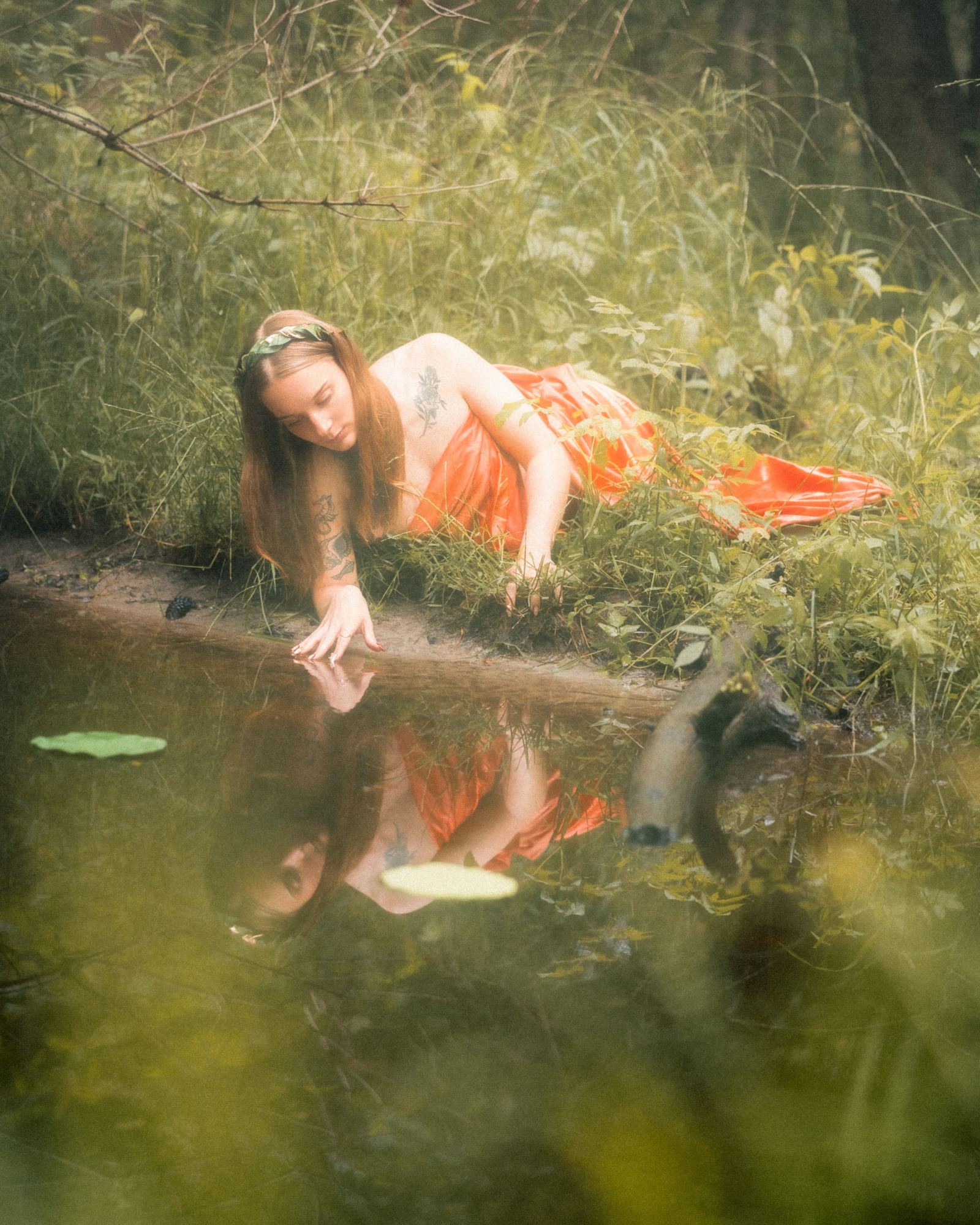 Narcissus — 6