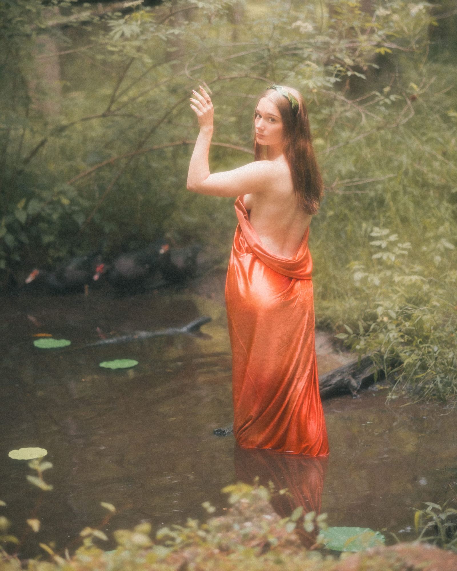 Narcissus — 11