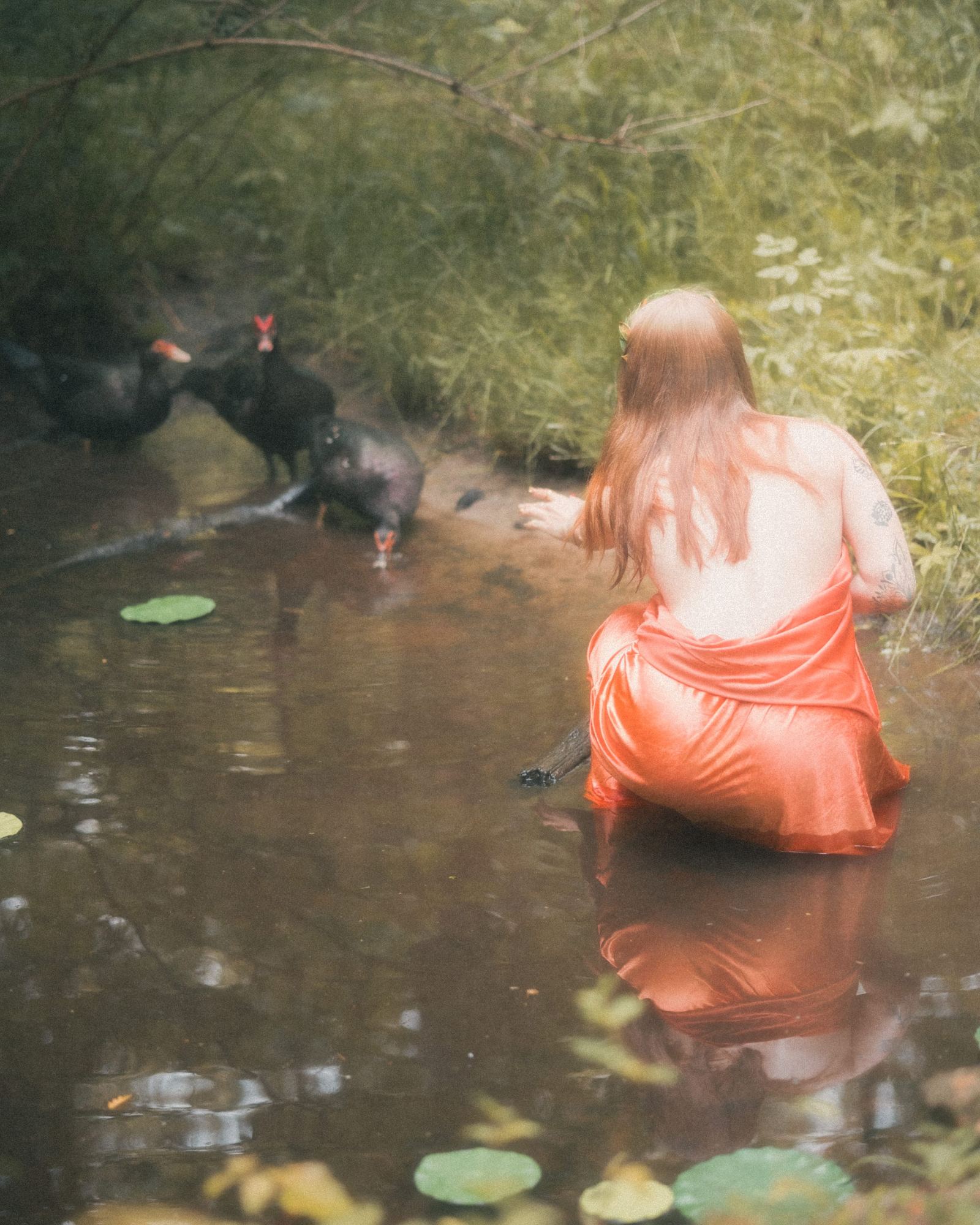 Narcissus — 12