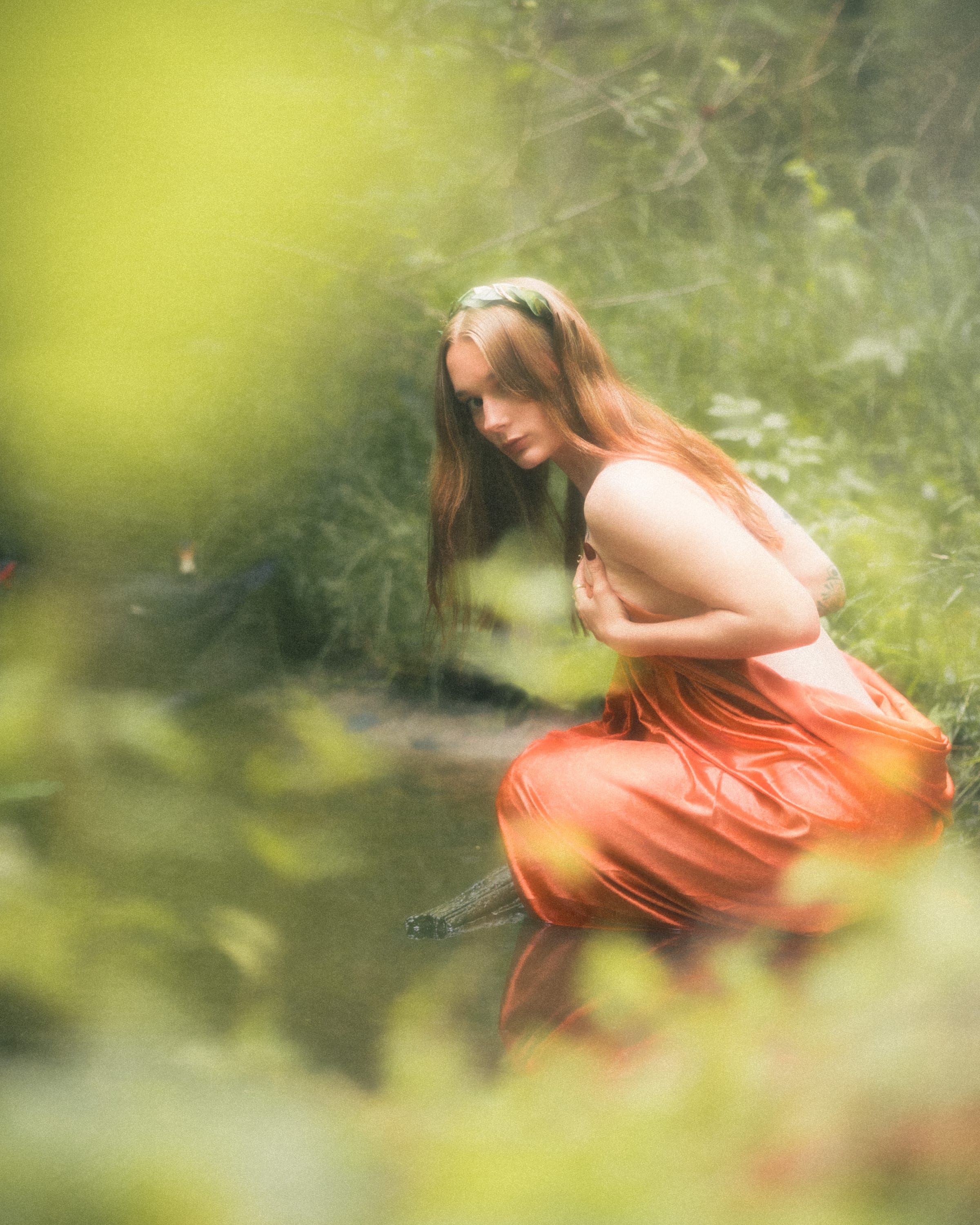 Narcissus — 13