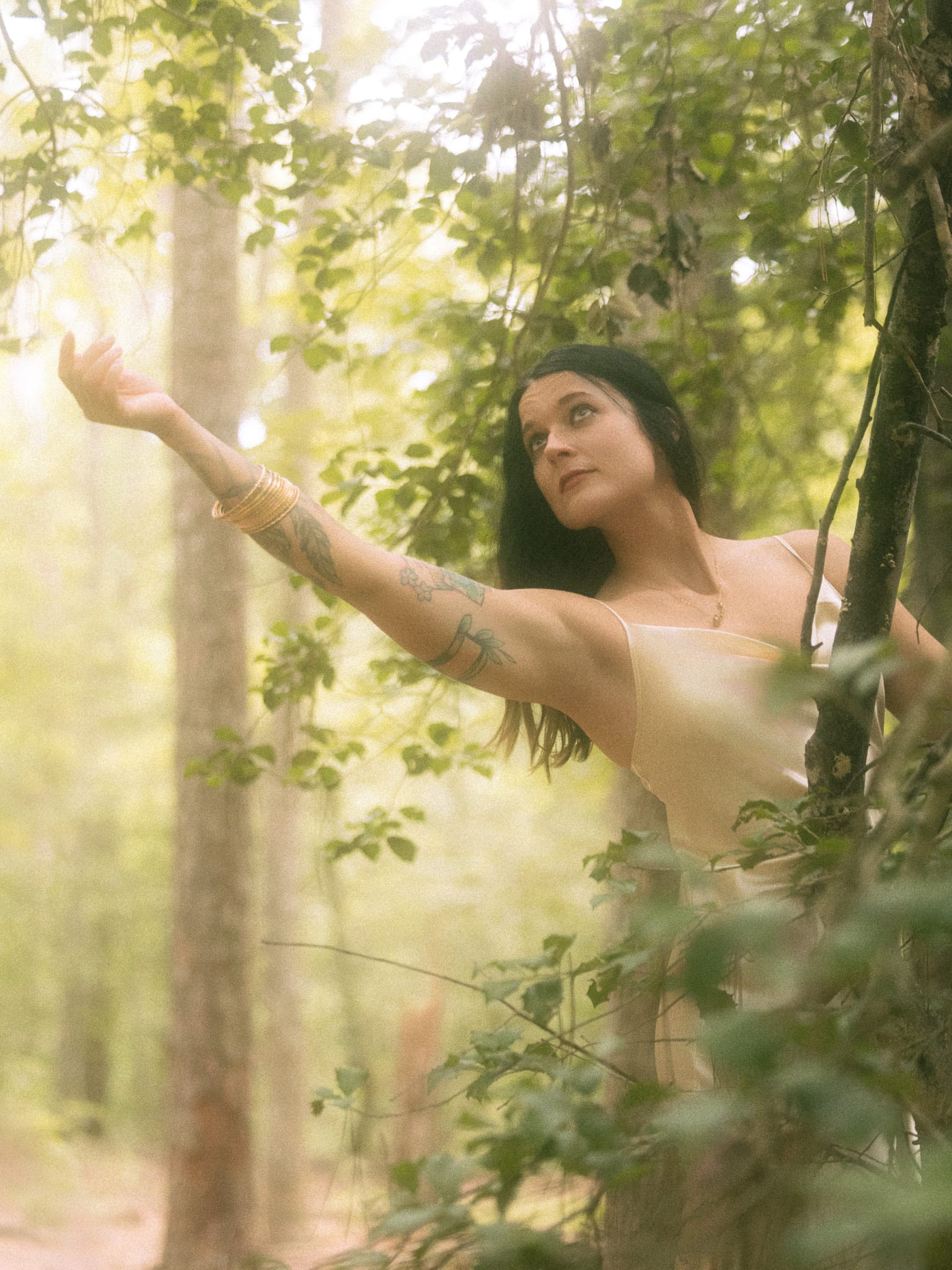 The Sylvan Hour — 7