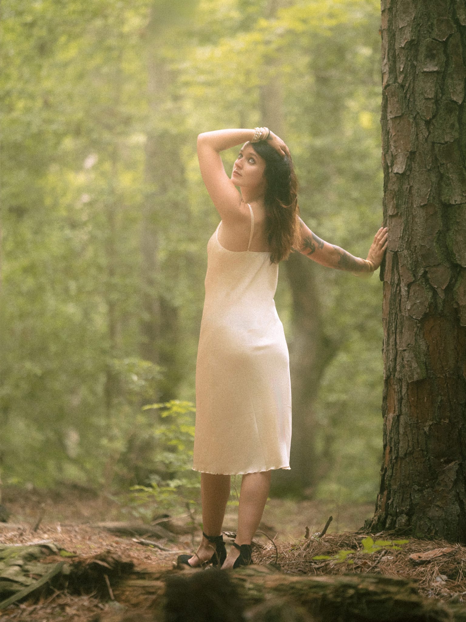 The Sylvan Hour — 8