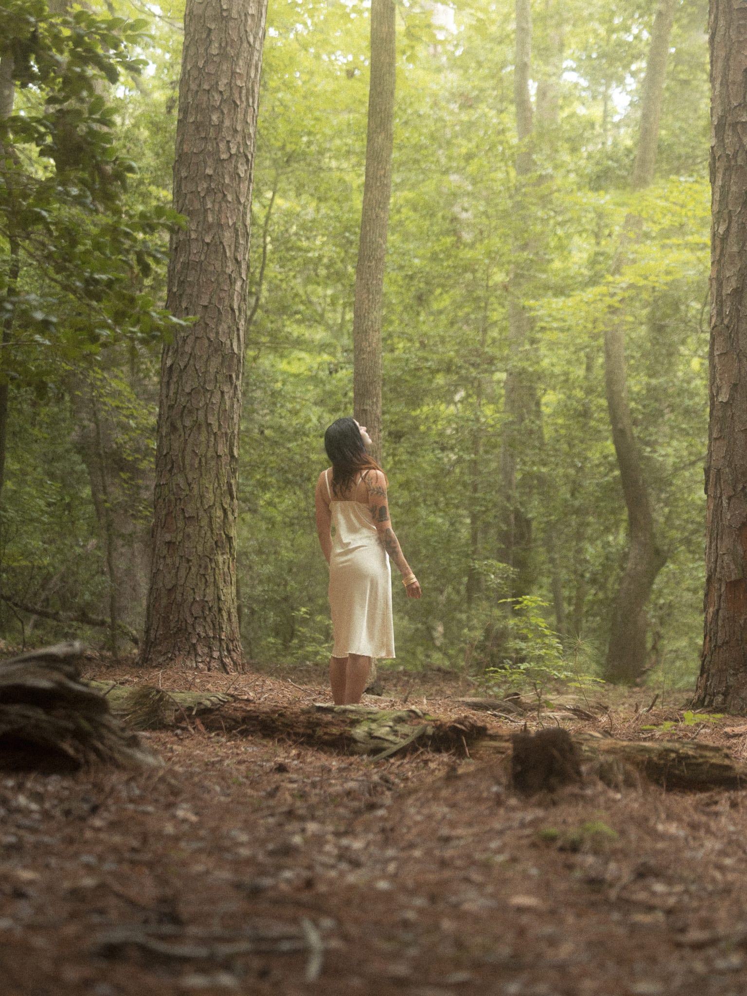 The Sylvan Hour — 9